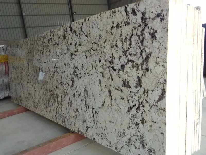 Alaska White granite slab: white base with grey and black patches